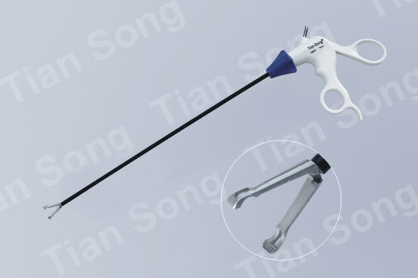 E8004 Disposable Gallbladder g
