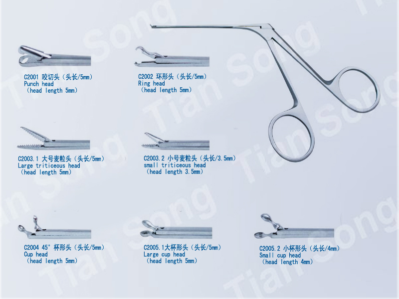 Middle ear forceps