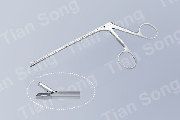 B2094.1 Cutting forceps of nas