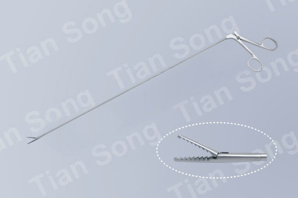 K2001.1 Esophgeal foreign body