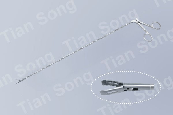 K2006.1 Esophgeal foreign body
