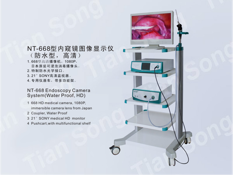 Endoscopy Camera System