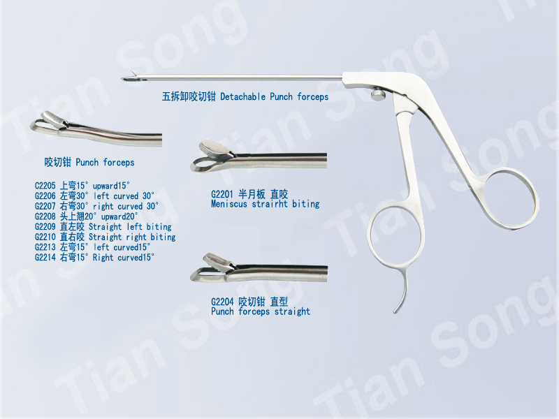Detachable Punch forceps
