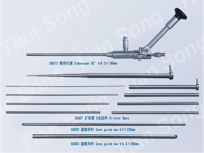 Transforaminal endoscopic surg