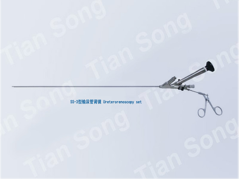 Ureterorenoscopy set